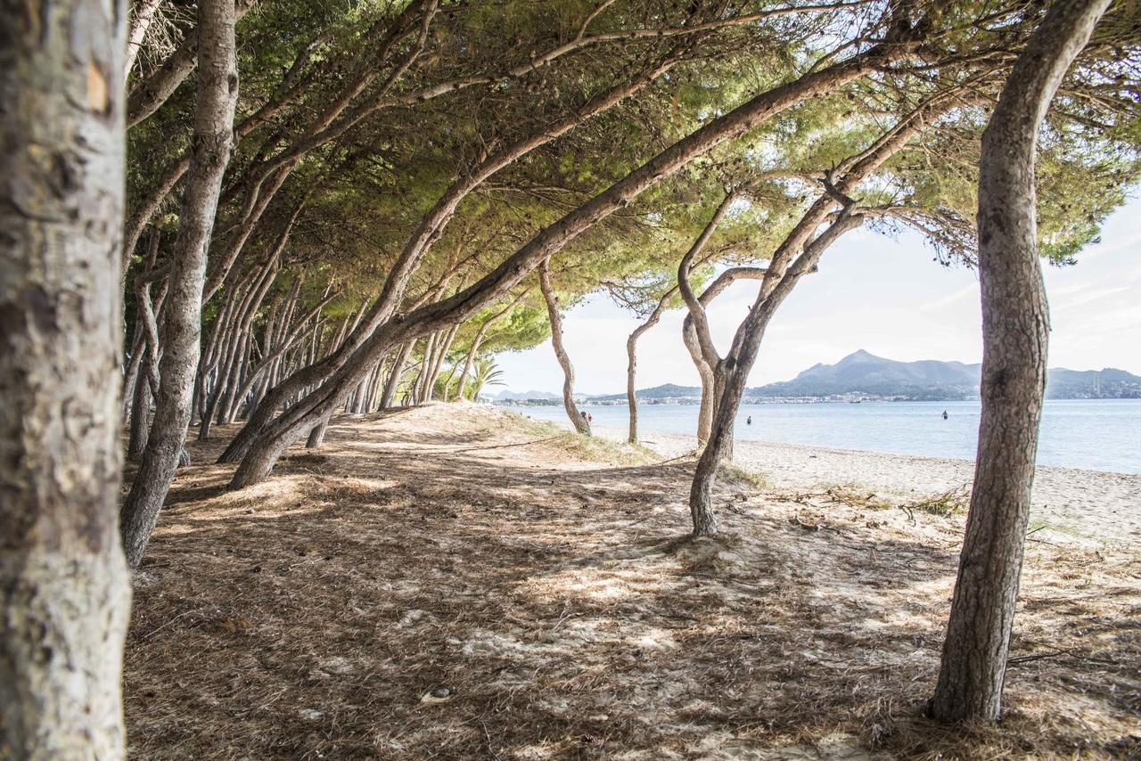 Beach Puerto de Alcúdia